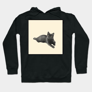 Colin the Cat Hoodie